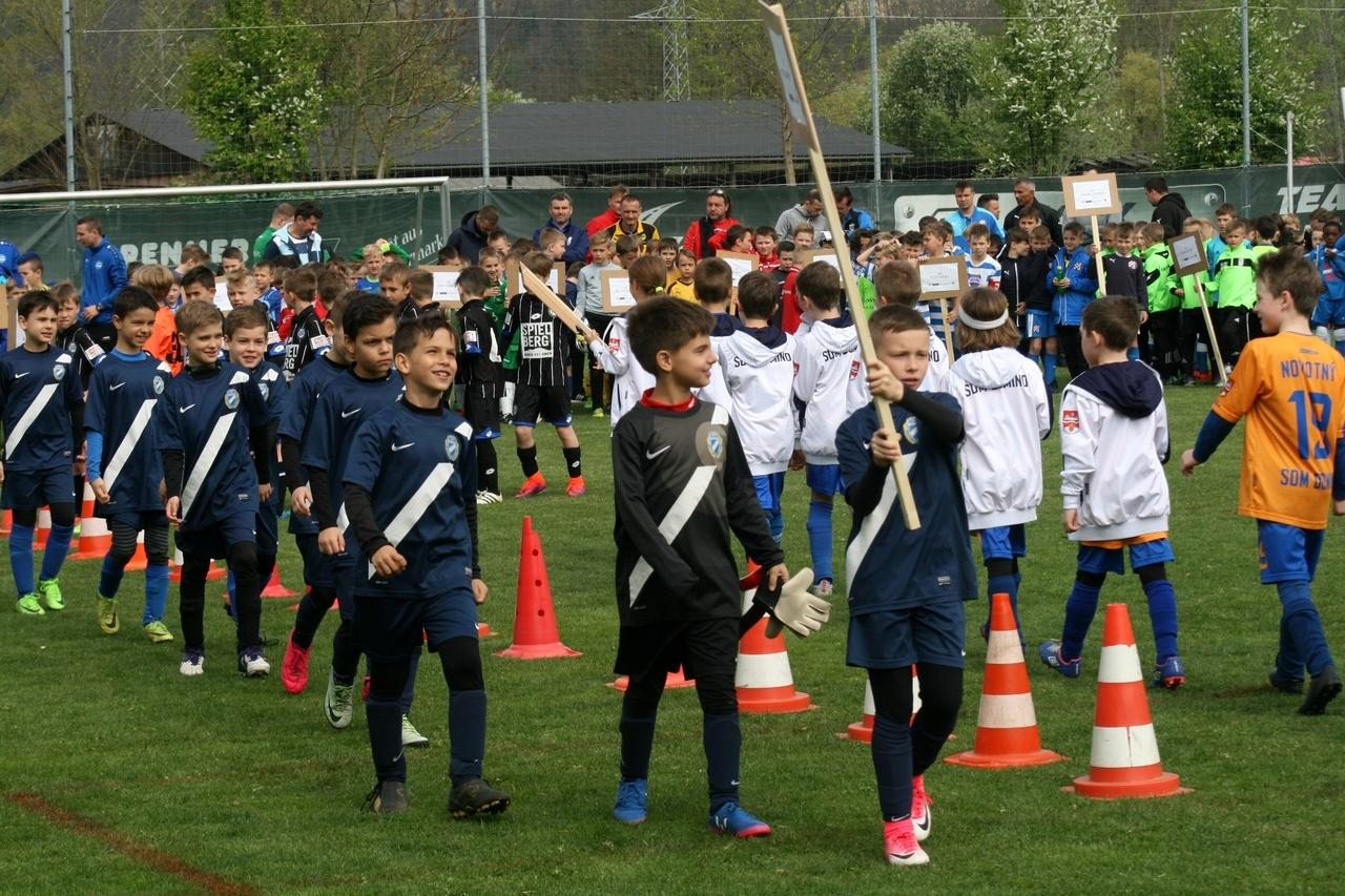 Ezüstérem Wildonból